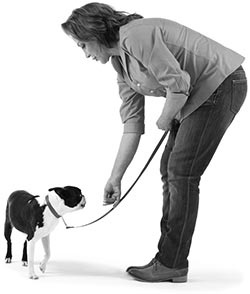 Дрессировка без наказания. Пять недель, которые сделают вашу собаку лучшей в мире Дрессировка без наказания. Пять недель, которые сделают вашу собаку лучшей в мире
