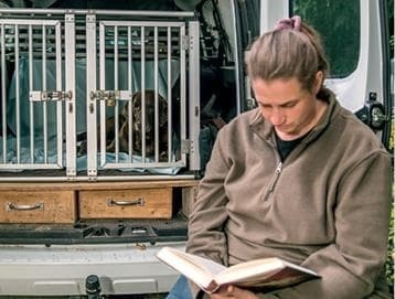 Идеальная собака не выгуливает хозяина. Как воспитать собаку без вредных привычек Идеальная собака не выгуливает хозяина. Как воспитать собаку без вредных привычек