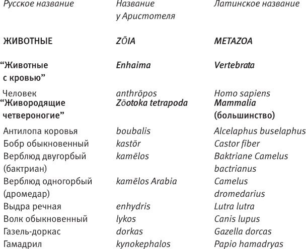 Лагуна. Как Аристотель придумал науку Лагуна. Как Аристотель придумал науку