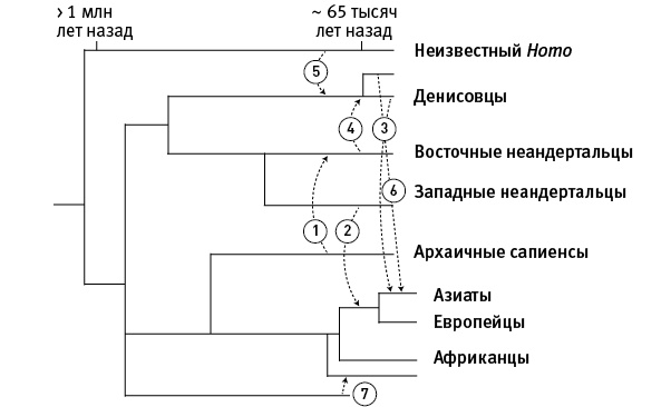 Перспективы отбора Перспективы отбора