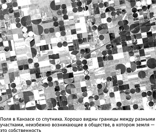Маленький плохой заяц, или Взаимосвязь религии и окружающей среды