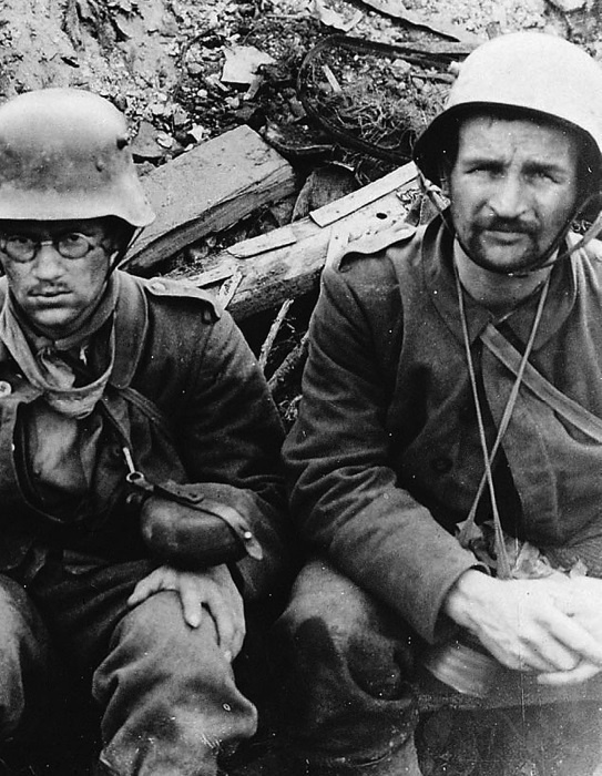 Горечь войны Горечь войны