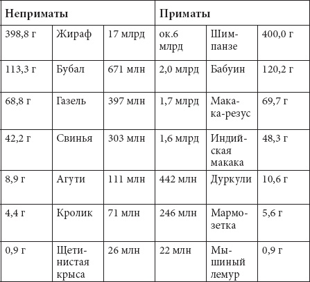 Мозг. Такой ли он особенный?