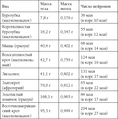 Мозг. Такой ли он особенный?