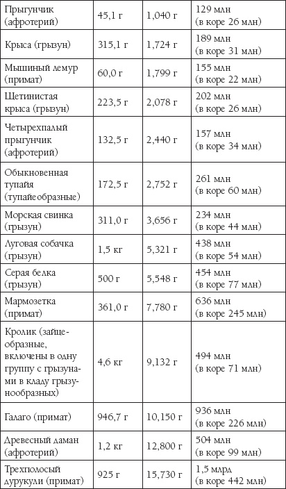 Мозг. Такой ли он особенный?