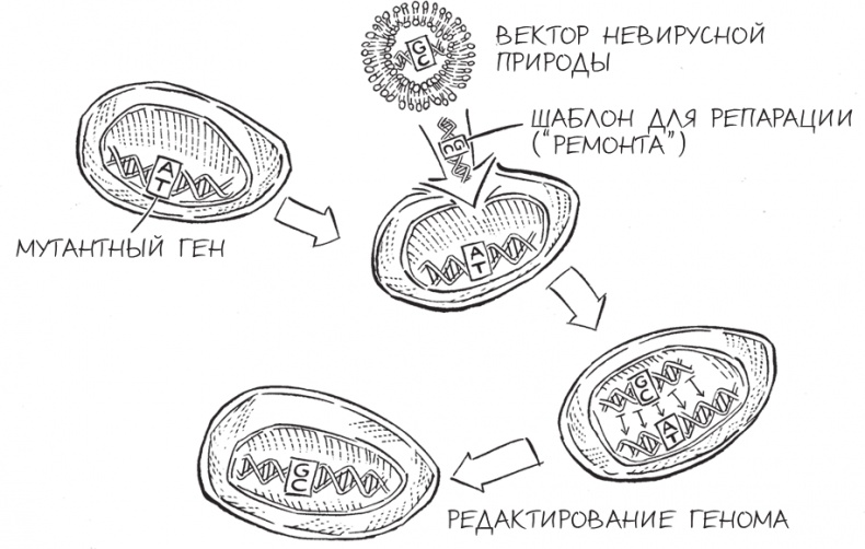 Трещина в мироздании Трещина в мироздании