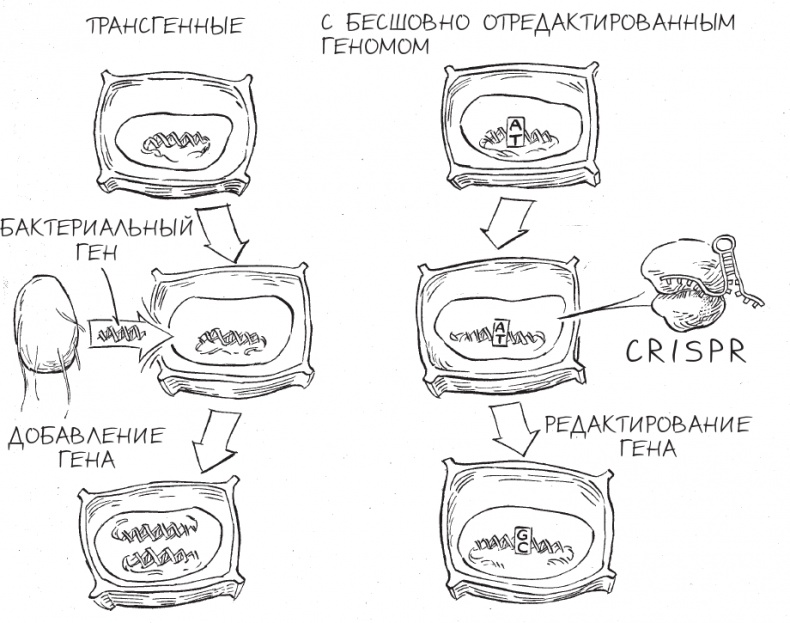 Трещина в мироздании Трещина в мироздании