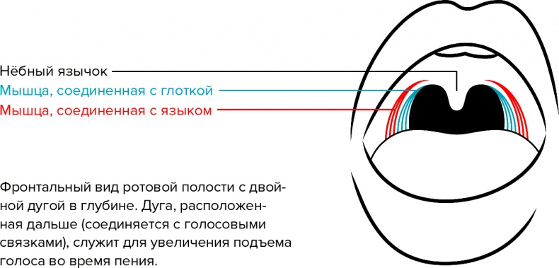 Голос Голос