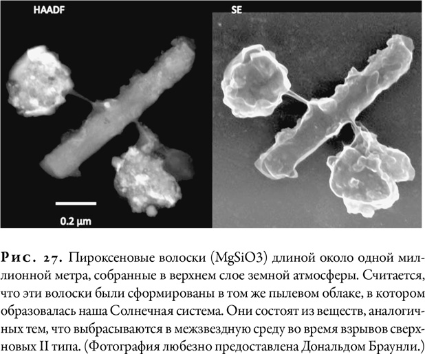 Гонка за Нобелем