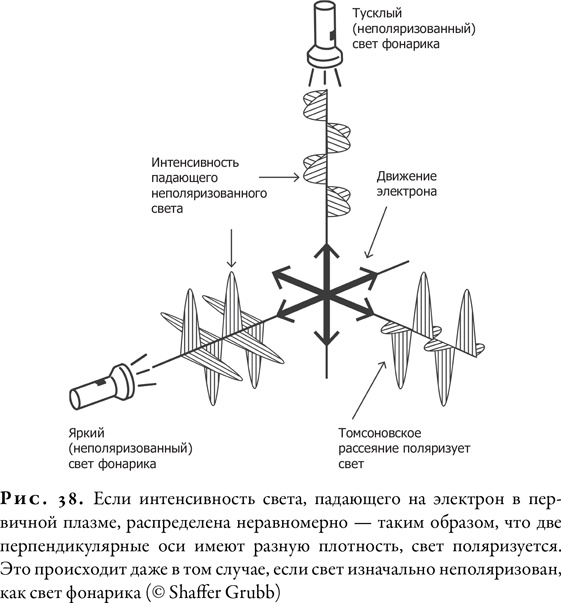 Гонка за Нобелем