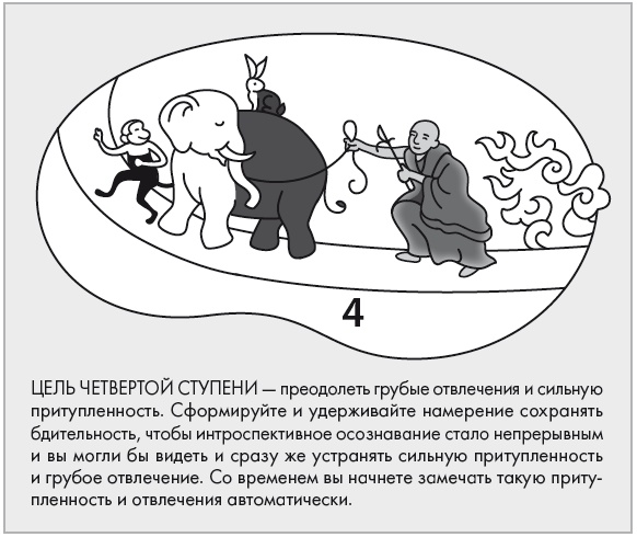 Свет ума Свет ума