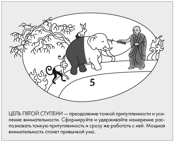 Свет ума Свет ума