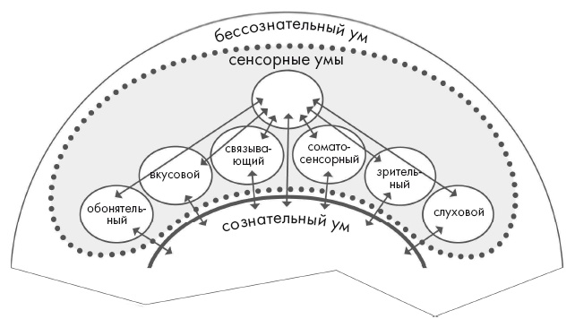 Свет ума Свет ума