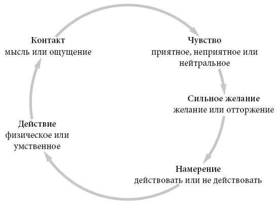 Свет ума Свет ума