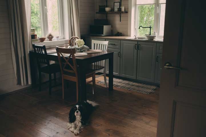 Cozy. Искусство всегда и везде чувствовать себя уютно Cozy. Искусство всегда и везде чувствовать себя уютно
