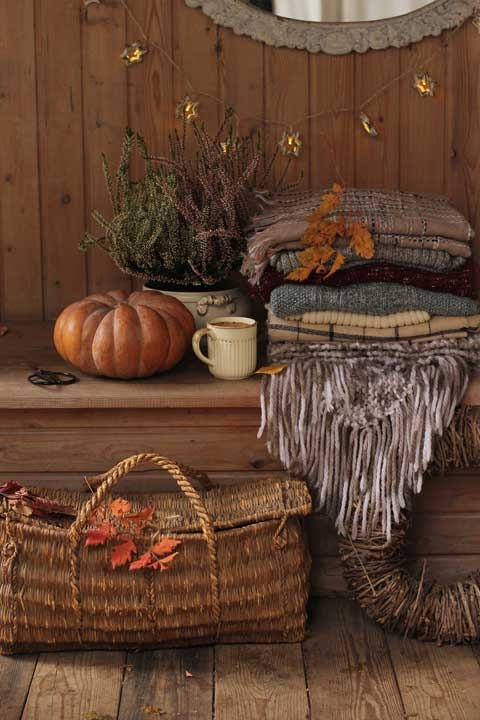 Cozy. Искусство всегда и везде чувствовать себя уютно Cozy. Искусство всегда и везде чувствовать себя уютно