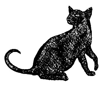 Кот для двоих Кот для двоих