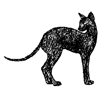 Кот для двоих Кот для двоих