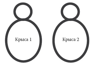 Умные калории: как больше есть, меньше тренироваться, похудеть и жить лучше Умные калории: как больше есть, меньше тренироваться, похудеть и жить лучше
