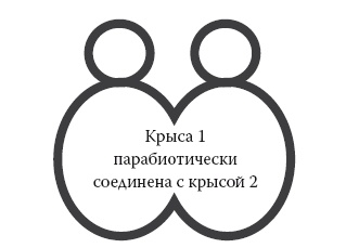 Умные калории: как больше есть, меньше тренироваться, похудеть и жить лучше Умные калории: как больше есть, меньше тренироваться, похудеть и жить лучше