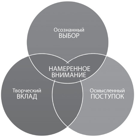 Внимание самому важному. От стресса и хаоса к осмысленности и концентрации Внимание самому важному. От стресса и хаоса к осмысленности и концентрации