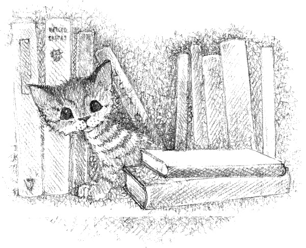 Котёнок Тигр, или Искатель приключений