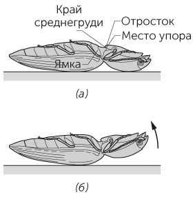 Новый физический фейерверк Новый физический фейерверк