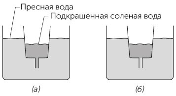 Новый физический фейерверк Новый физический фейерверк