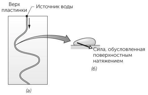 Новый физический фейерверк Новый физический фейерверк