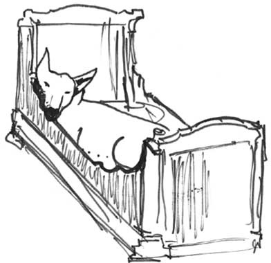 Дневник обезьянки (1957-1982) Дневник обезьянки (1957-1982)