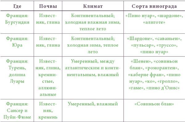 Почва и вино. Путешествие по вкусам и ароматам