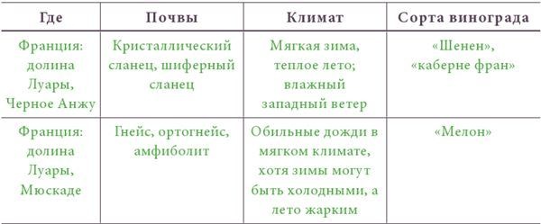 Почва и вино. Путешествие по вкусам и ароматам