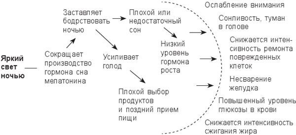 Циркадный код. Как настроить свои биологические часы на здоровую жизнь Циркадный код. Как настроить свои биологические часы на здоровую жизнь