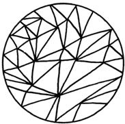 ЭКОsapiens. Простые правила осознанной жизни