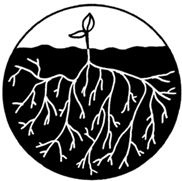 ЭКОsapiens. Простые правила осознанной жизни