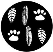 ЭКОsapiens. Простые правила осознанной жизни