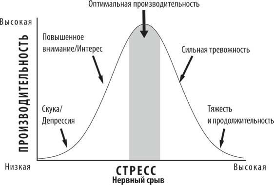 Поздний расцвет. Как взрослым добиться успеха в мире, одержимом ранним развитием Поздний расцвет. Как взрослым добиться успеха в мире, одержимом ранним развитием