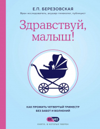 Здравствуй, малыш! Как прожить четвертый триместр без забот и волнений - Елена Березовская