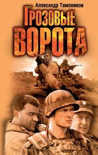 Грозовые ворота - Александр Тамоников
