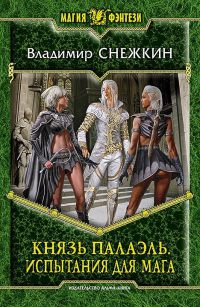 Испытания для мага - Владимир Снежкин