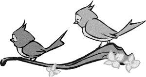 Лунная музыка Лунная музыка