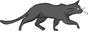 Лунная музыка Лунная музыка