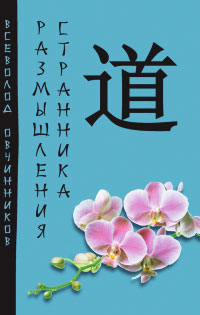 Размышления странника - Всеволод Овчинников