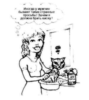 Почему мужчины хотят секса, а женщины любви - Аллан Пиз, Барбара Пиз