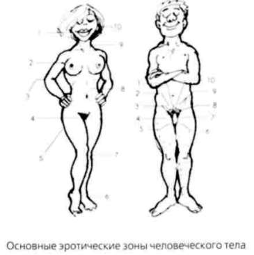 Почему мужчины хотят секса, а женщины любви - Аллан Пиз, Барбара Пиз