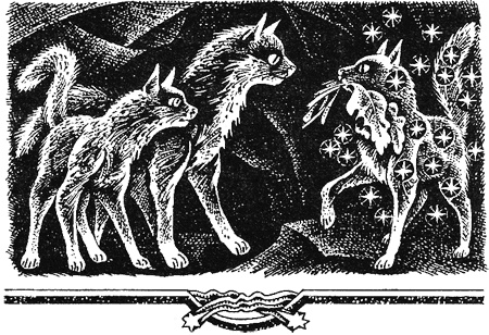 Миссия Огнезвезда. Книга 2. Возрождение Миссия Огнезвезда. Книга 2. Возрождение