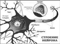 Бот Бот