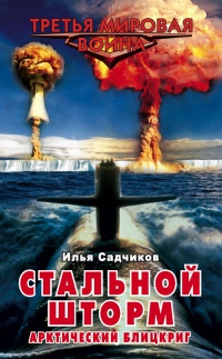 Стальной шторм. Арктический блицкриг - Илья Садчиков