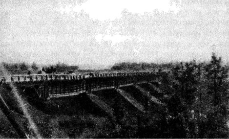 Иной 1941. От границы до Ленинграда