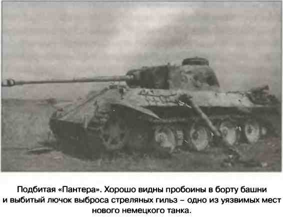 Освобождение 1943. «От Курска и Орла война нас довела…» Освобождение 1943. «От Курска и Орла война нас довела…»